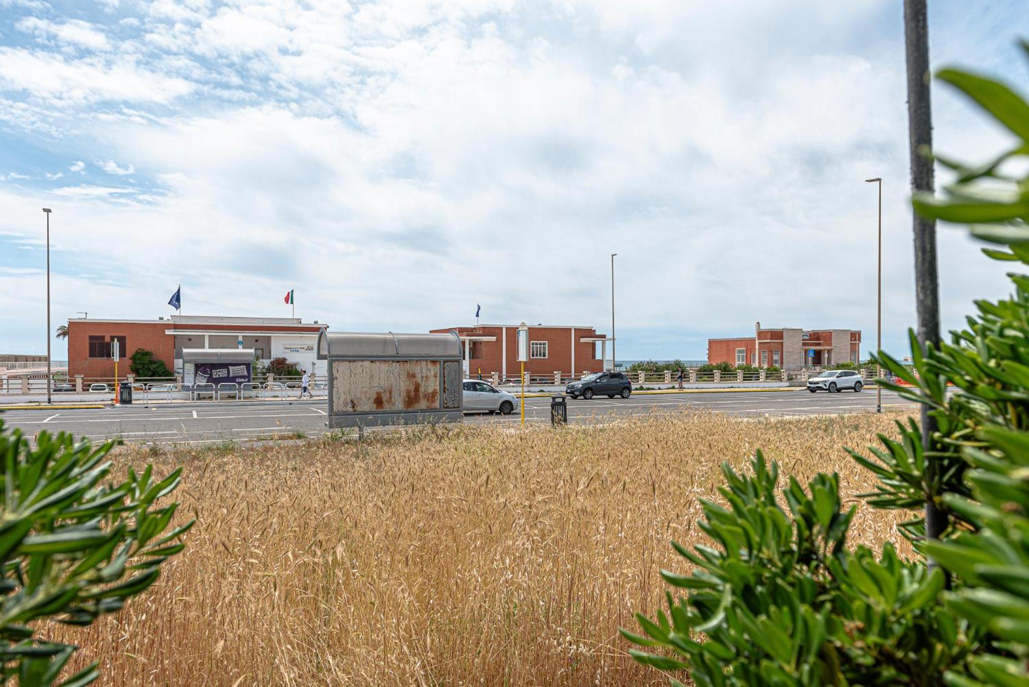 Villino Dei Coralli Lido di Ostia Exterior foto